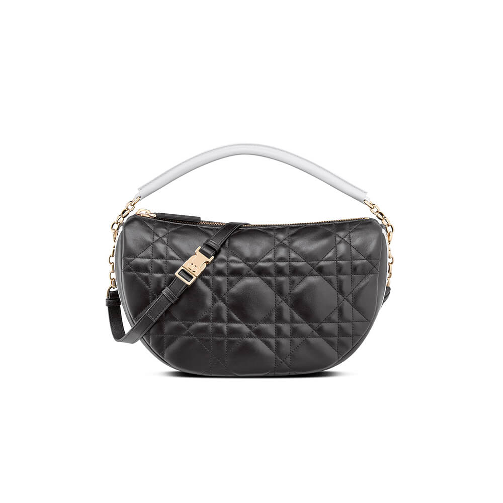 medium D10r vibe hobo bag