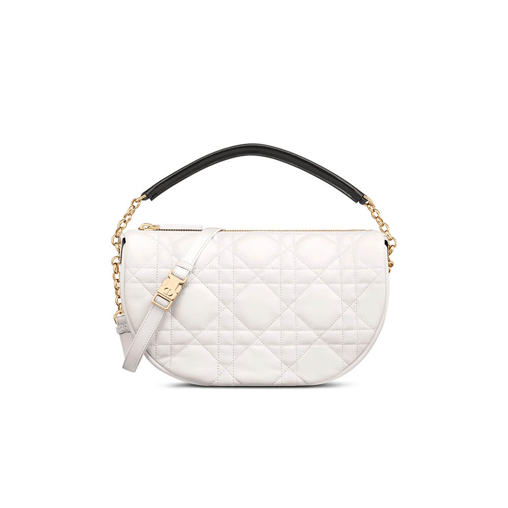 medium D10r vibe hobo bag
