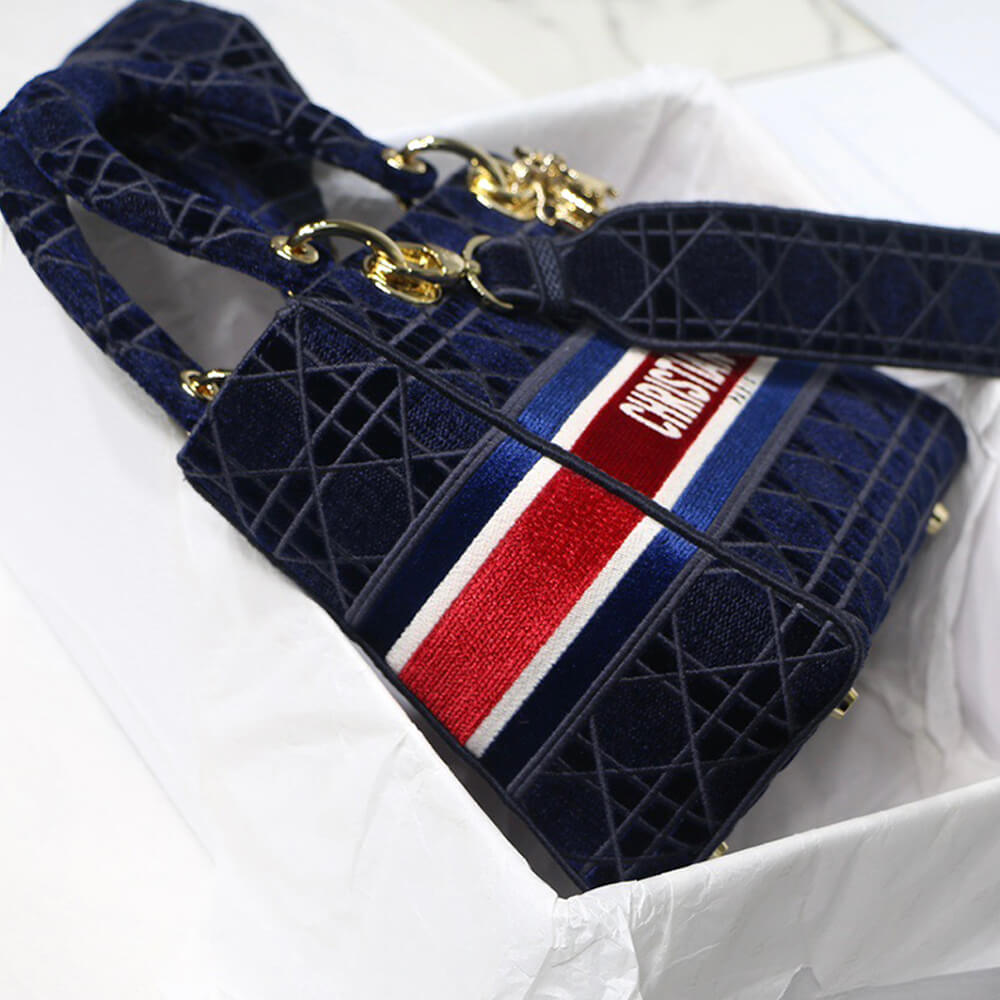 D10r medium lady d-lite bag